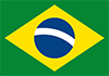Flag for brazil